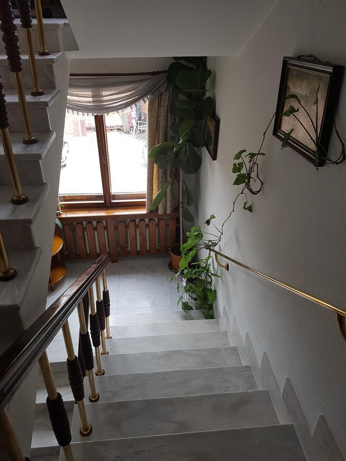 Hotel Mishel Kocherinovo Dış mekan fotoğraf