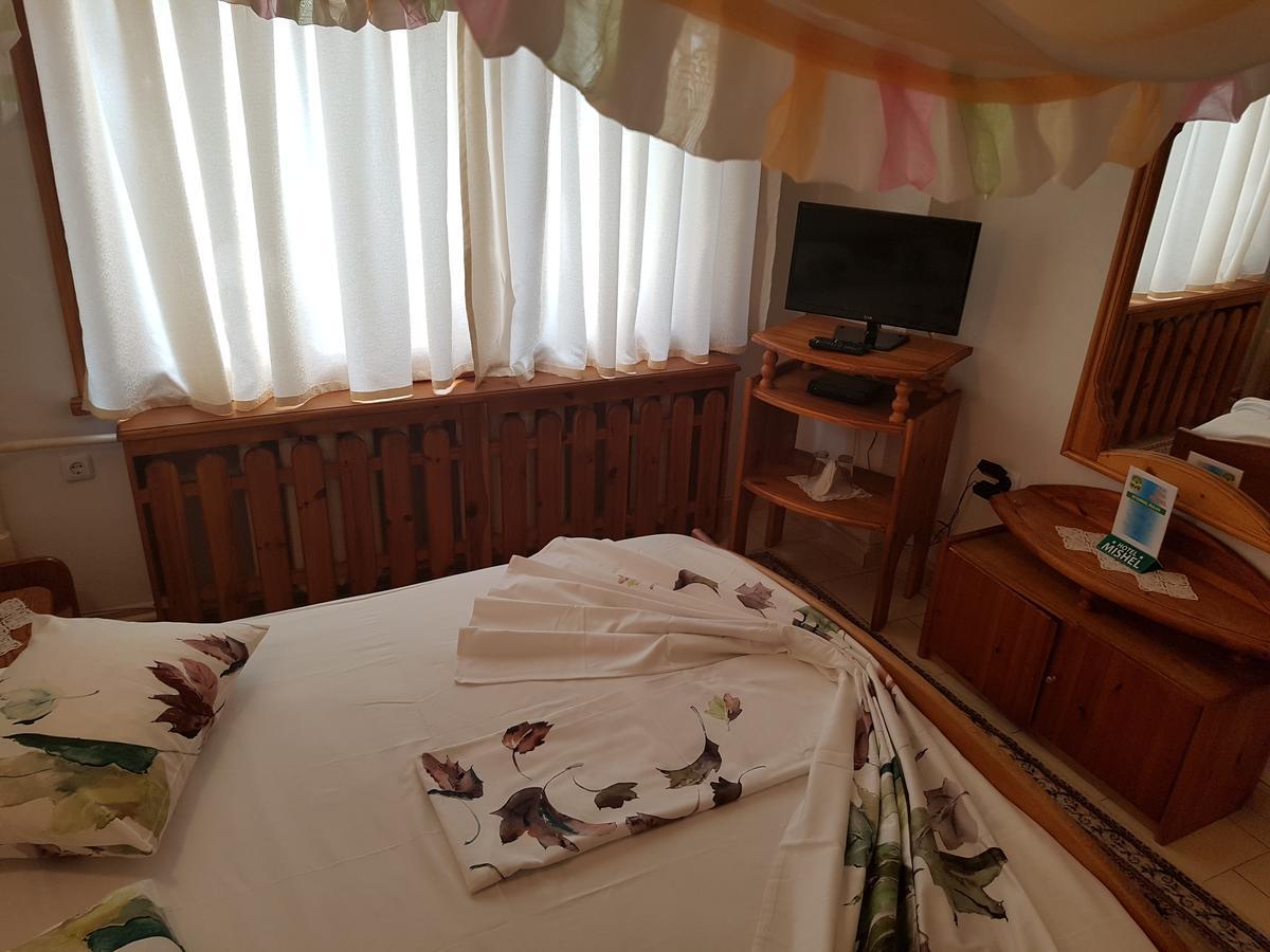 Hotel Mishel Kocherinovo Dış mekan fotoğraf