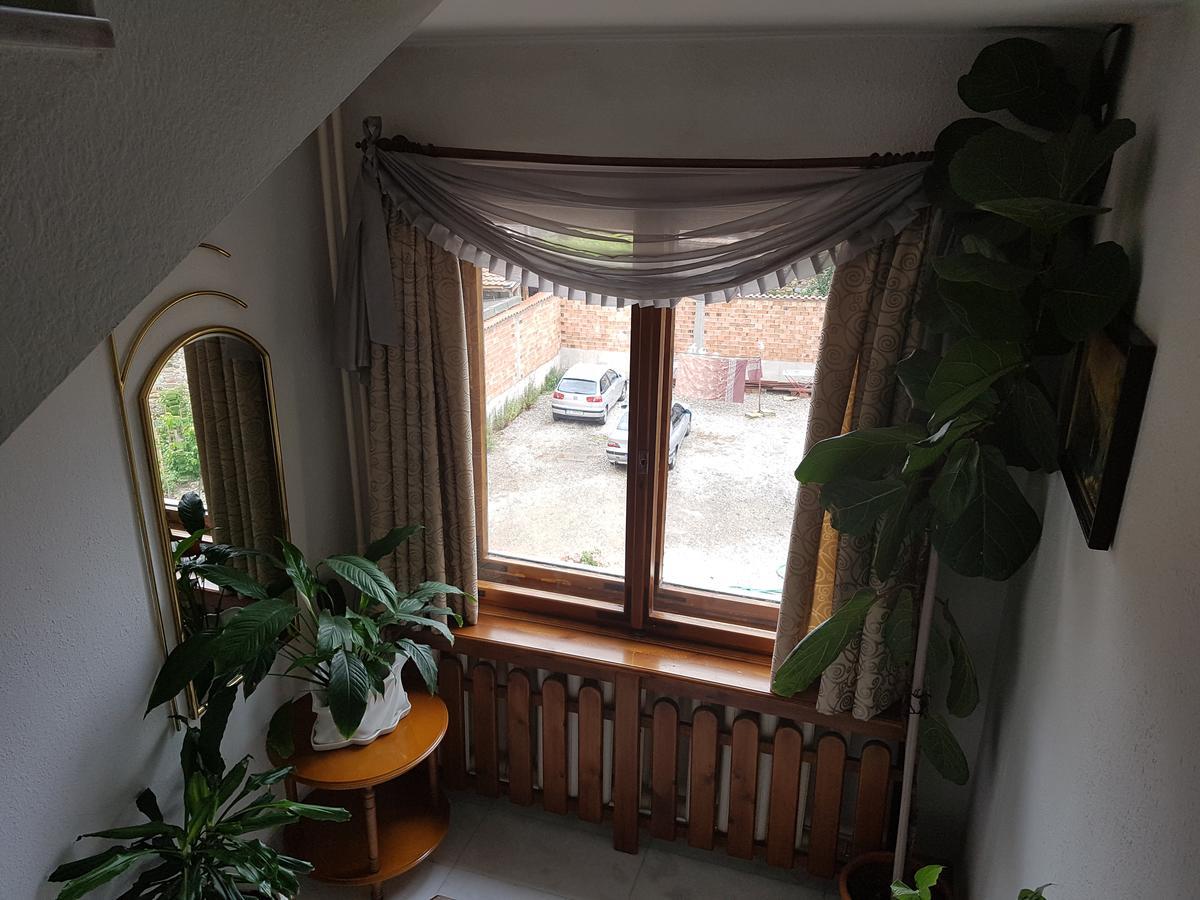 Hotel Mishel Kocherinovo Dış mekan fotoğraf