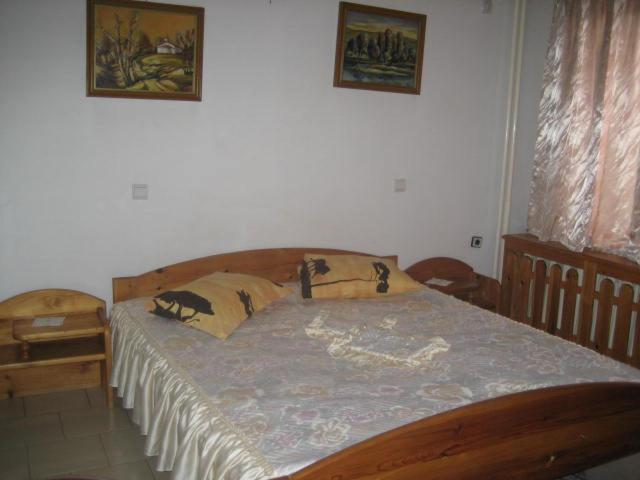 Hotel Mishel Kocherinovo Dış mekan fotoğraf